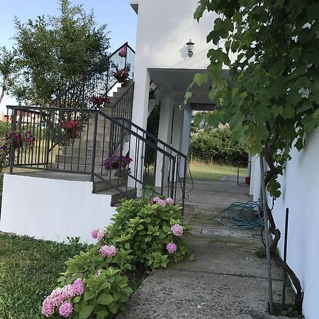 Apartmani Dragana Herceg Novi Zewnętrze zdjęcie