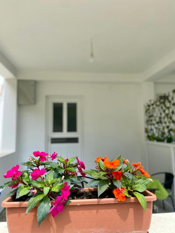 Apartmani Dragana Herceg Novi Zewnętrze zdjęcie