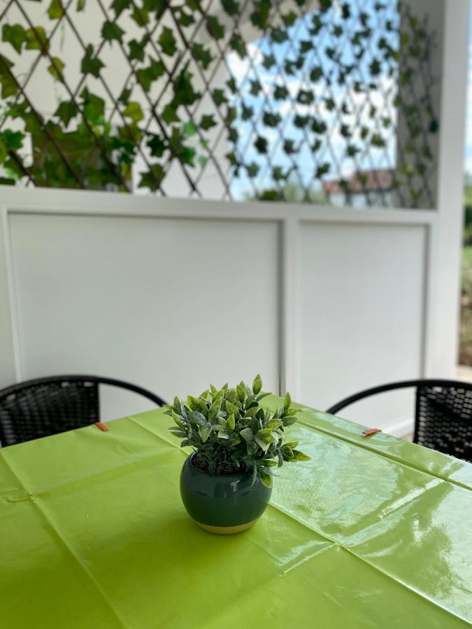 Apartmani Dragana Herceg Novi Zewnętrze zdjęcie