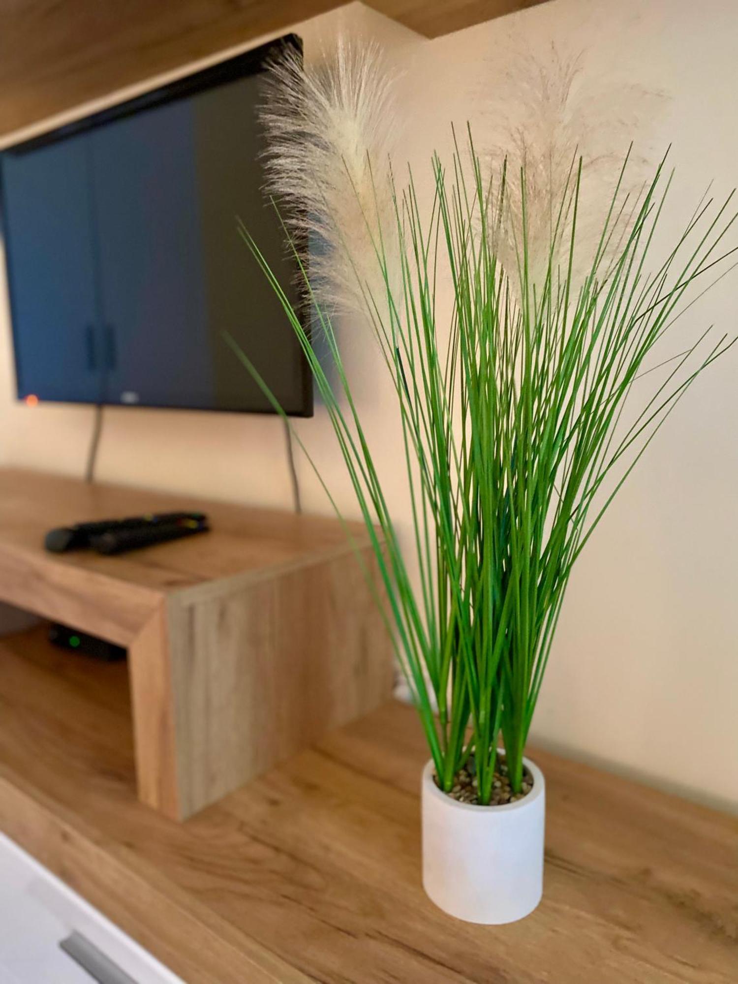 Apartmani Dragana Herceg Novi Zewnętrze zdjęcie