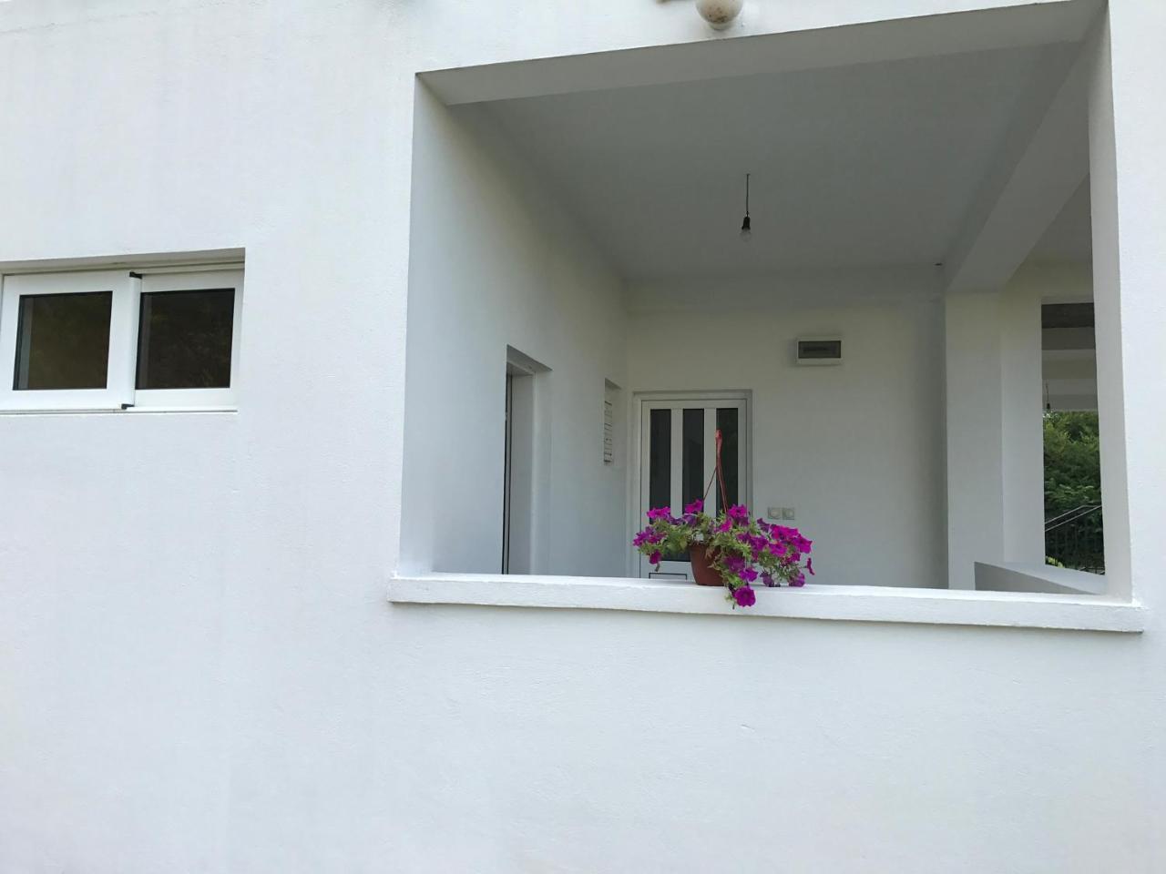 Apartmani Dragana Herceg Novi Zewnętrze zdjęcie