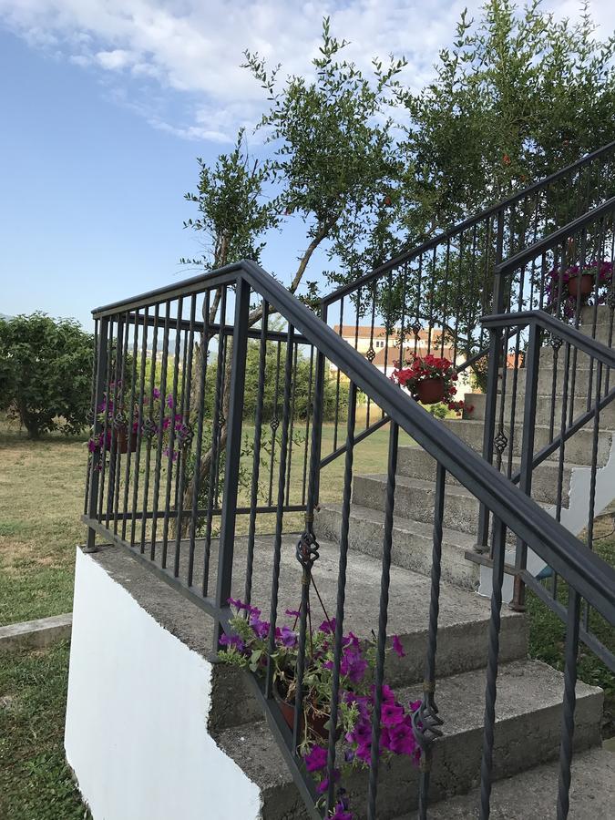 Apartmani Dragana Herceg Novi Zewnętrze zdjęcie